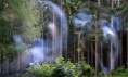 /album/priroda/a20-hol-491-jpg/